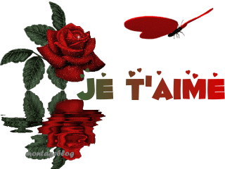 par amour